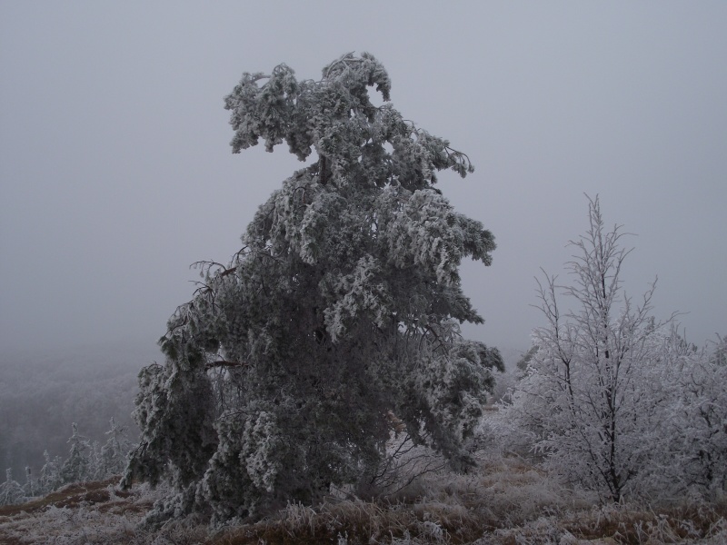 zima 2011 8.jpg