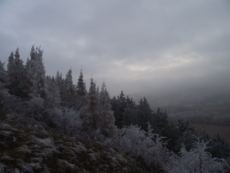 zima 2011 10.jpg