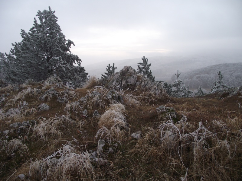 zima 2011 12.jpg