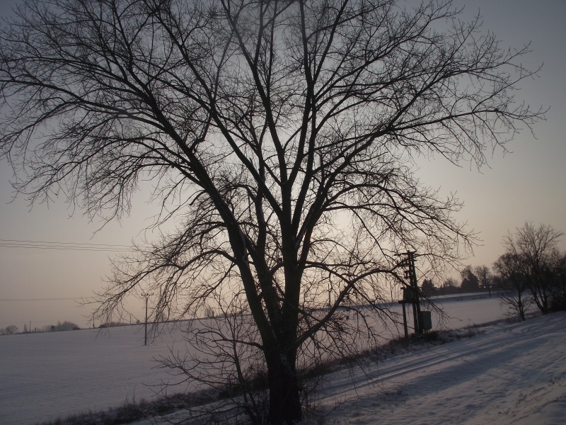 Podvečer