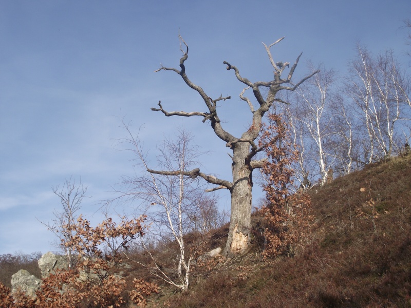 Skalka 01