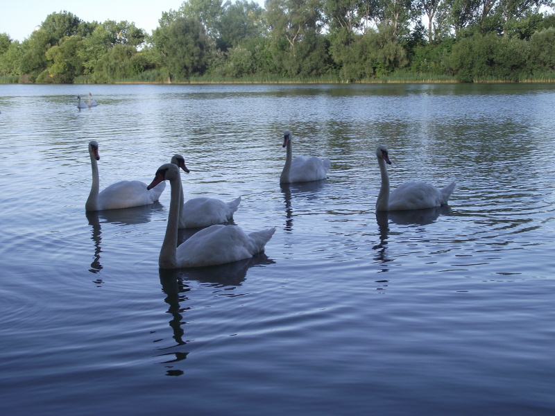 Snímek 008.jpg