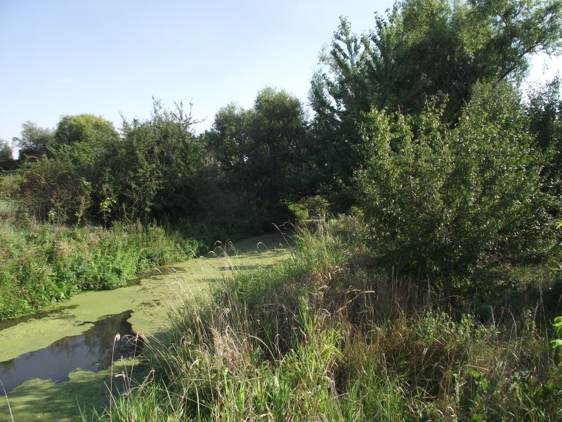DSCF3663.jpg