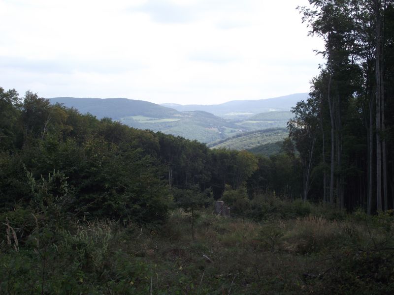 DSCF3794.jpg