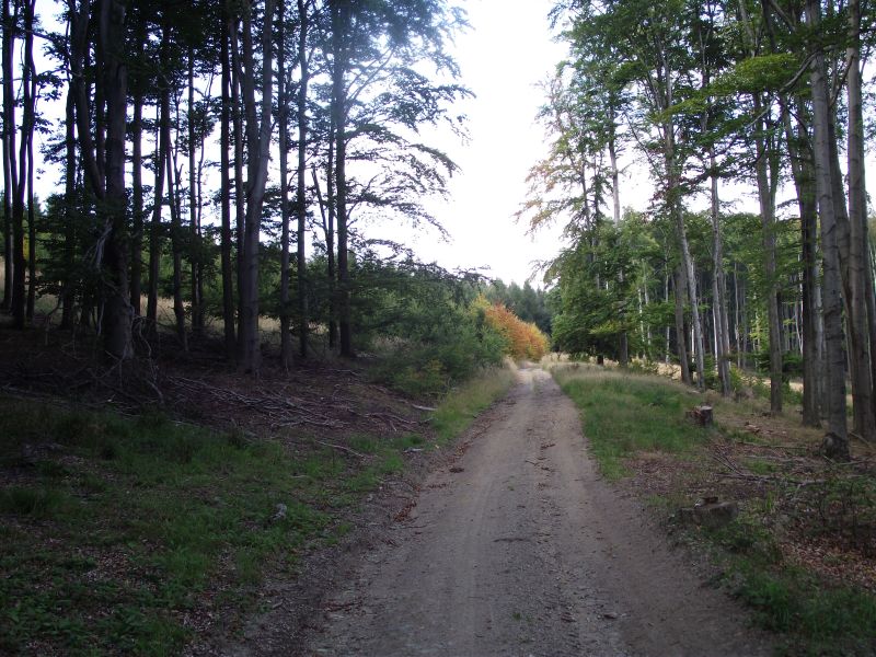 DSCF3795.jpg