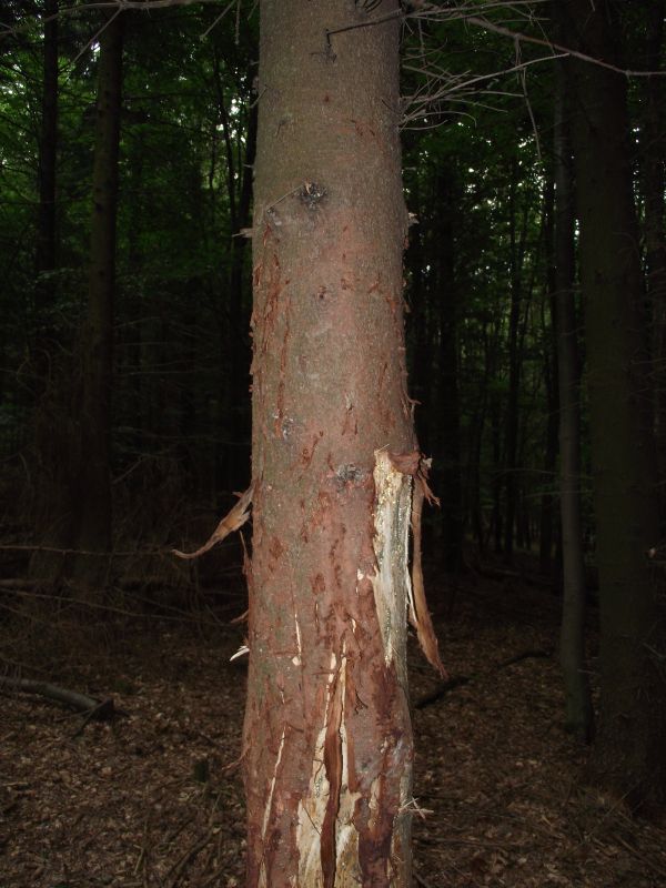 DSCF3803.jpg
