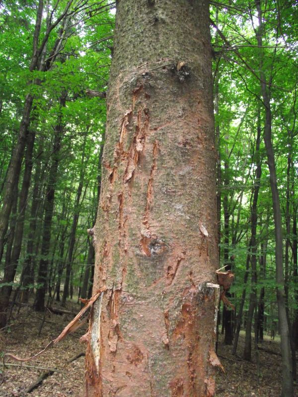 DSCF3804.jpg