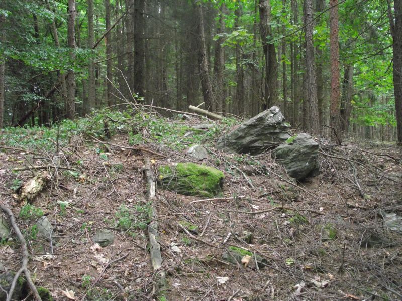 DSCF3809.jpg