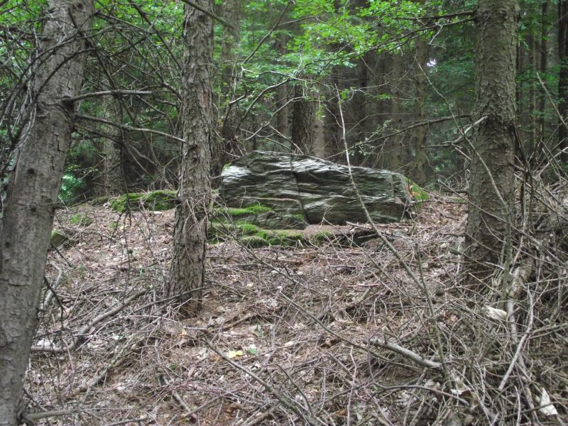 DSCF3810.jpg