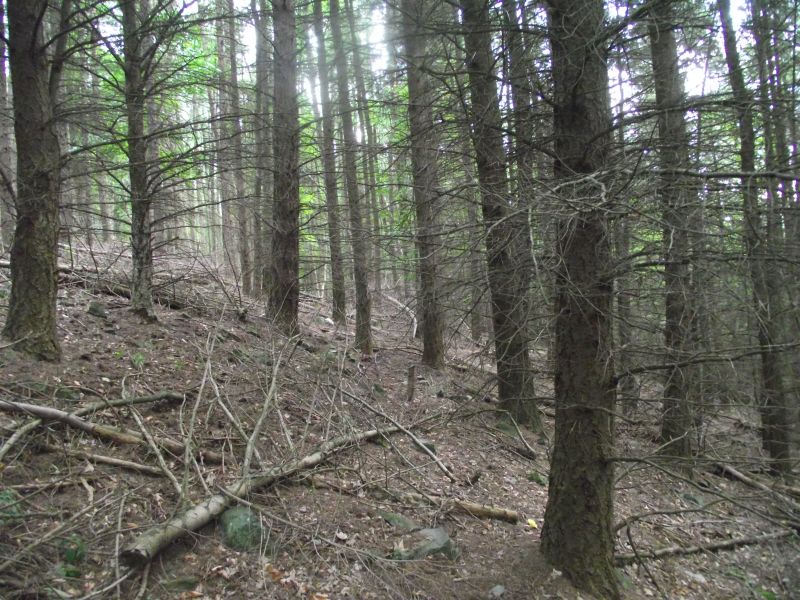 DSCF3814.jpg