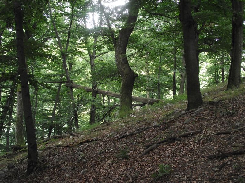 DSCF3823.jpg
