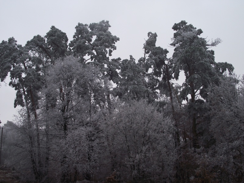 zima 2011 1.jpg