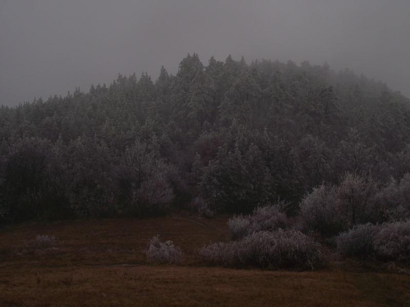 zima 2011 2.jpg