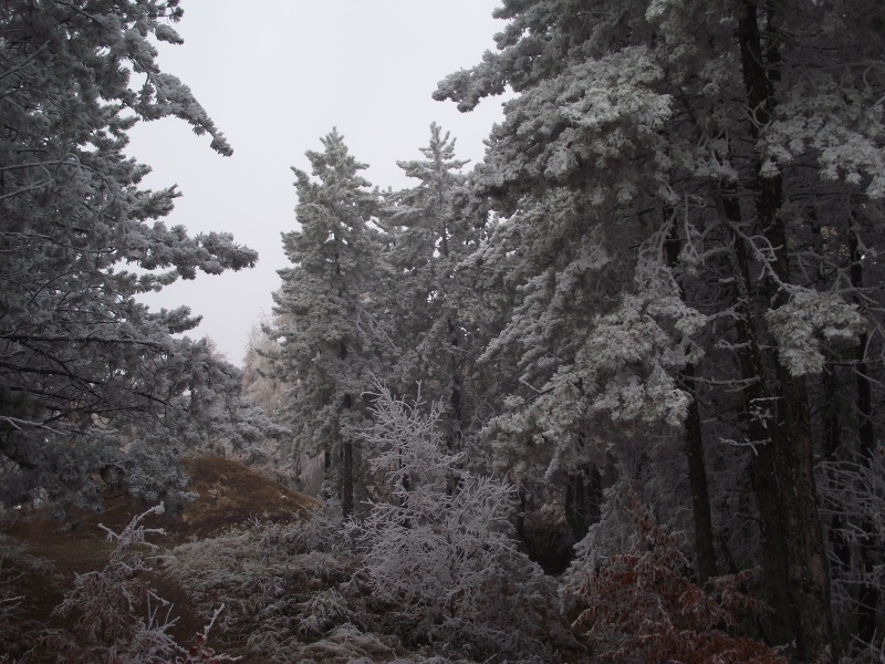 zima 2011 4.jpg