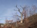 Skalka 01