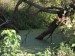 DSCF3678.jpg