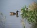 DSCF3685.jpg