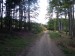 DSCF3795.jpg