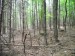 DSCF3805.jpg