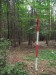 DSCF3808.jpg