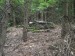 DSCF3810.jpg