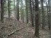 DSCF3814.jpg