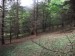 DSCF3817.jpg