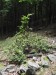 DSCF3818.jpg
