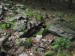 DSCF3820.jpg