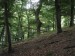 DSCF3823.jpg