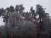 zima 2011 1.jpg